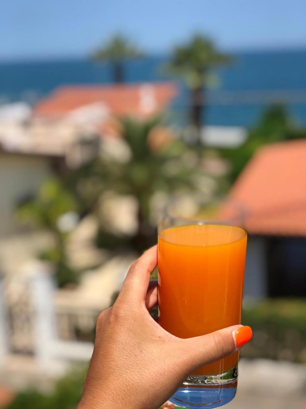 B&B Torre Azul Frontemare - Bisceglie Buitenkant foto